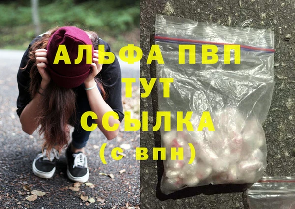 молекула духа Алексеевка