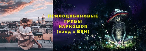 молекула духа Алексеевка