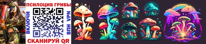 сколько стоит  Зеленоградск  Галлюциногенные грибы MAGIC MUSHROOMS 